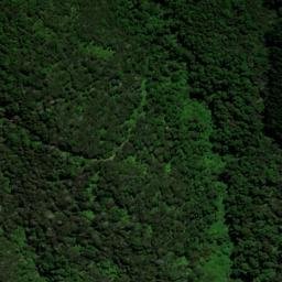 Satellite imagery of WW (Cloudy Bay SD), NZ