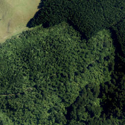Satellite imagery of Putangirua Pinnacles, NZ