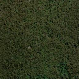Satellite imagery of survey_point, AU