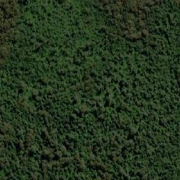 Satellite imagery of survey_point, AU
