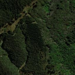 Satellite imagery of N (Cloudy Bay SD), NZ