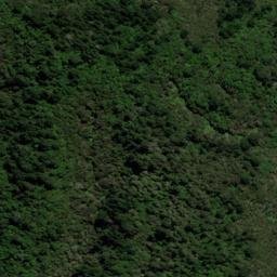Satellite imagery of N (Cloudy Bay SD), NZ