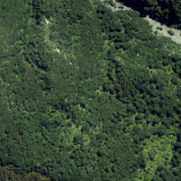 Satellite imagery of Putangirua Pinnacles, NZ