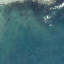 Satellite imagery of Kapakura, NZ