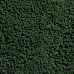 Satellite imagery of Whyte Hill, AU
