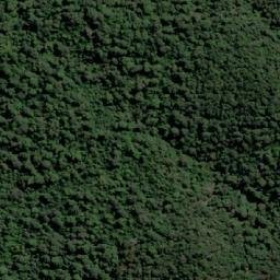 Satellite imagery of Whyte Hill, AU