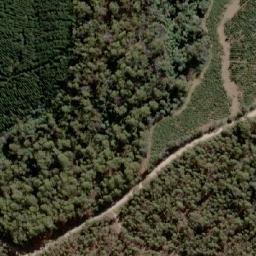 Satellite imagery of Bedding Hill, AU