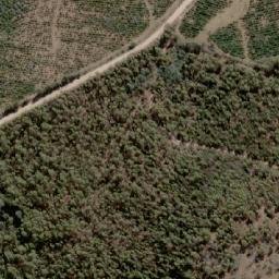 Satellite imagery of Bedding Hill, AU