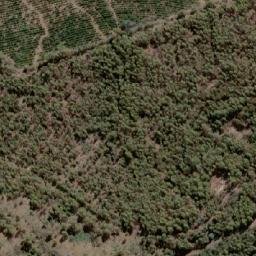 Satellite imagery of Bedding Hill, AU