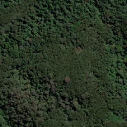 Satellite imagery of Whyte Hill, AU