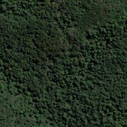 Satellite imagery of Whyte Hill, AU