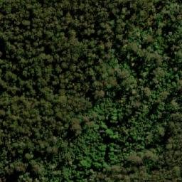 Satellite imagery of Roses Tier, AU