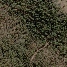 Satellite imagery of Bedding Hill, AU