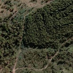 Satellite imagery of Bedding Hill, AU
