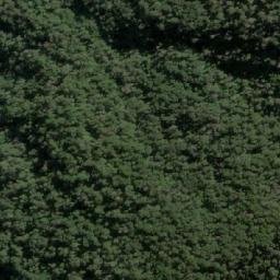 Satellite imagery of Cordón Pangal, CL