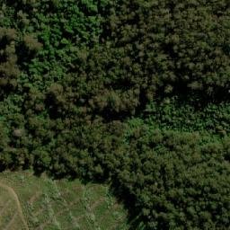 Satellite imagery of Roses Tier, AU
