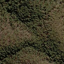 Satellite imagery of Bedding Hill, AU