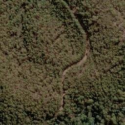 Satellite imagery of Bedding Hill, AU