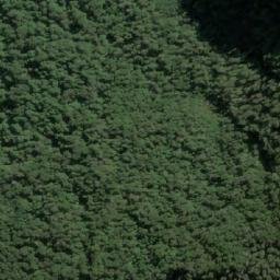 Satellite imagery of Cordón Pangal, CL