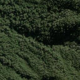 Satellite imagery of Cerro Raulí, CL