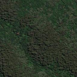 Satellite imagery of Mount Youngbuck, AU