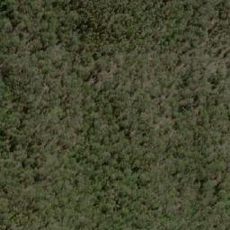 Satellite imagery of Gog, AU