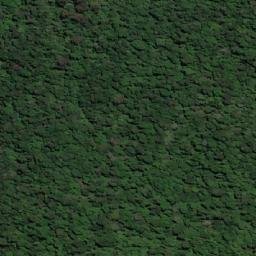 Satellite imagery of Mount Youngbuck, AU