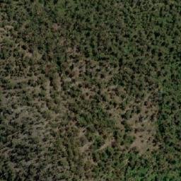 Satellite imagery of North Sister, AU