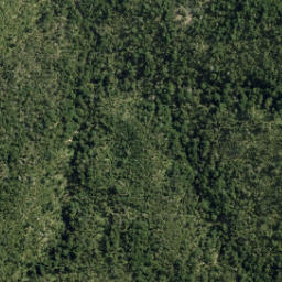 Satellite imagery of Gibbs Spur, NZ
