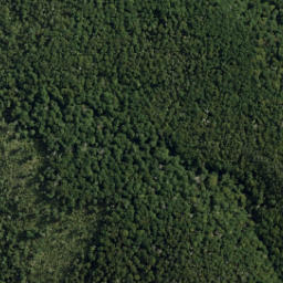 Satellite imagery of Gibbs Spur, NZ