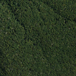 Satellite imagery of Gibbs Spur, NZ