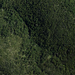 Satellite imagery of Gibbs Spur, NZ