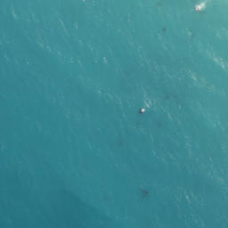 Satellite imagery of Te Hamenga, NZ