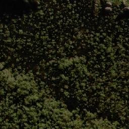 Satellite imagery of Tower Hill, AU