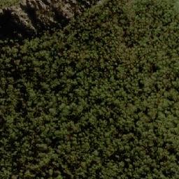Satellite imagery of Tower Hill, AU
