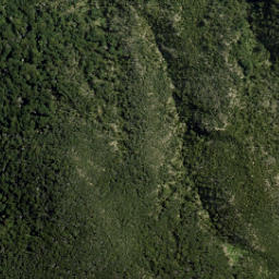 Satellite imagery of Gibbs Spur, NZ