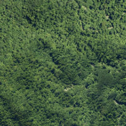 Satellite imagery of Jackatoo Spur, NZ