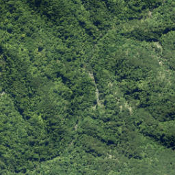 Satellite imagery of Jackatoo Spur, NZ