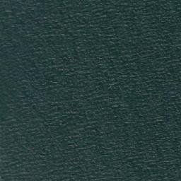 Satellite imagery of Punta Santo Domingo, CL