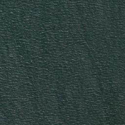 Satellite imagery of Punta Surgidero, CL