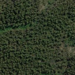 Satellite imagery of St Patricks Head, AU