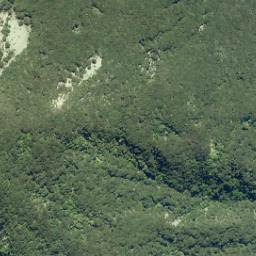 Satellite imagery of Te Rakauwhakamataku Point, NZ