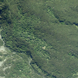 Satellite imagery of Te Rakauwhakamataku Point, NZ