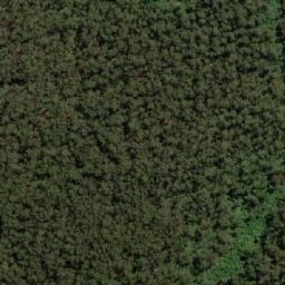 Satellite imagery of St Patricks Head, AU