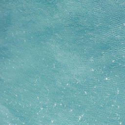 Satellite imagery of Black Head, NZ