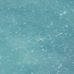 Satellite imagery of Black Head, NZ
