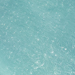 Satellite imagery of Black Head, NZ