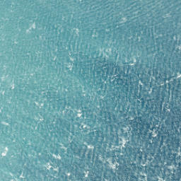 Satellite imagery of Black Head, NZ