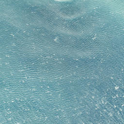 Satellite imagery of Black Head, NZ