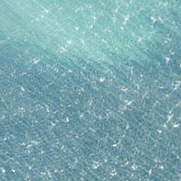 Satellite imagery of Black Head, NZ